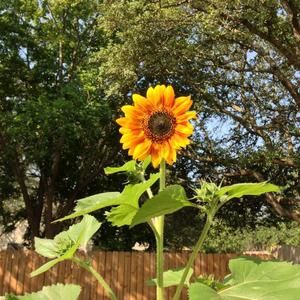 Meet your Posher, Judi